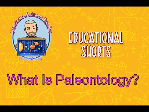 YouTube video about The Fascinating Work of Paleontologists Explained