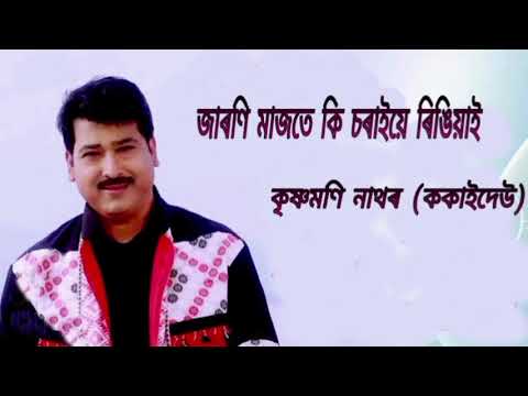 Krishna moni nath Bihu Song // Jaroni majote ki soraiye ringirai