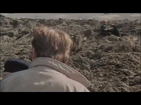 download lagu mp3 mp4 Violette Et Franois Streaming, download mp3 Violette Et Franois Streaming free download, download mp3 Violette Et Franois Streaming