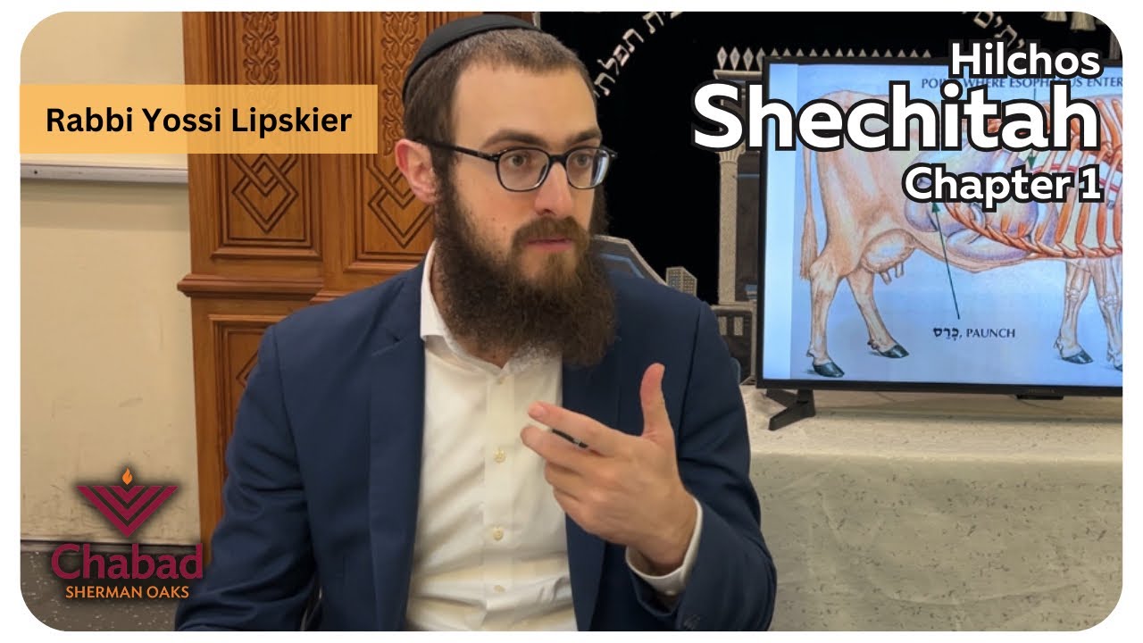 Rambam Hilchos Shechitah Chapter 1 • Rabbi Yossi Lipskier