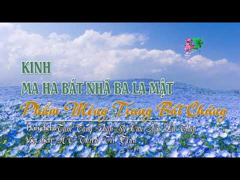 61. Phẩm Mộng Trung Bất Chứng Thứ Sáu Mươi Mốt