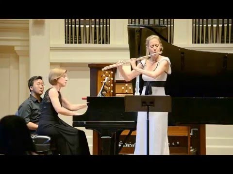 Johannes Brahms: Sonata in f-minor, op. 120/1, mvt 1