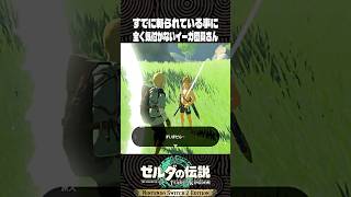 すでに斬られている事に全く気付かないイーガ団員さん【ゼルダの伝説 ティアキン】