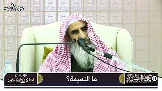 صورة 10 ما النميمة؟