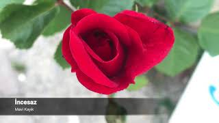 incesaz | mavi kayık