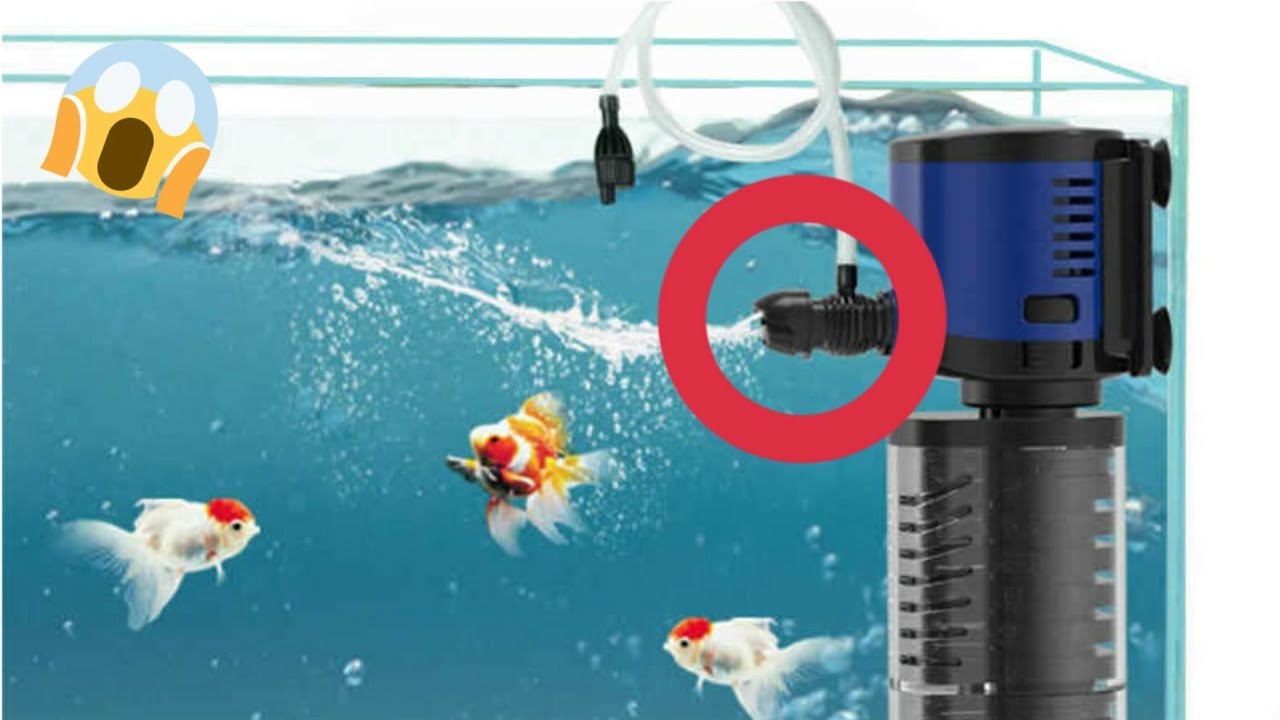 YA NO PONGAS FILTRO INTERNO O CABEZA DE PODER ES EL PEOR FILTRO DE TODOS