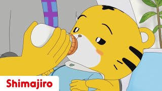 Mom's Treasure | Mother's Day | Family | Kids video for Kids | Shimajiro