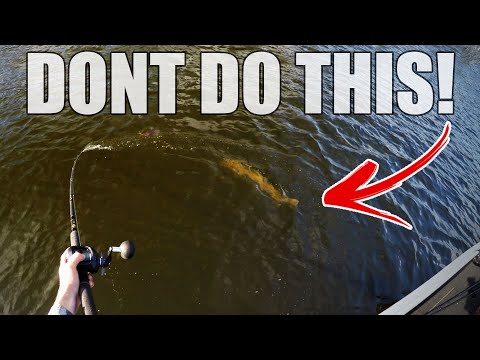 Don't Make These 5 Mistakes MUSKY Fishing!