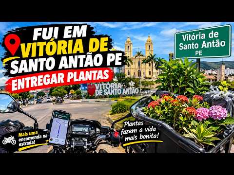 FUI EM VITÓRIA DE SANTO ANTÃO PE ENTREGAR PLANTAS