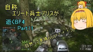 【ゆっくり実況】自称エリート兵士アリスが逝くBF4　～やっぱAEK～　part11