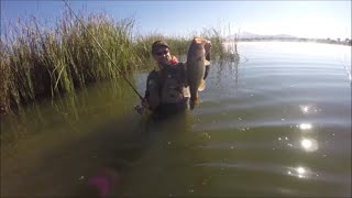 preview picture of video 'Pesca de Black Bass en Almaraz por Javi Gil'