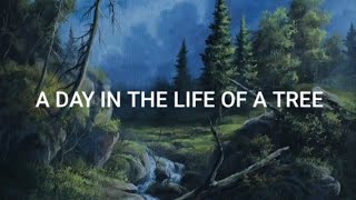 The Beach Boys - A Day In The Life Of A Tree (subtitulada)