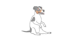 dog sittin