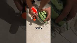 Download lagu This Melon Costs $100 mp3