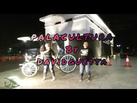 PA'LA CULTURA by DAVID GUETTA,HANAM CHOREO :BROTHER TWINZ
