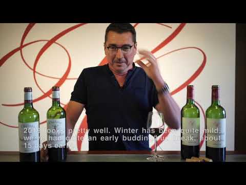 Château Moulin de la Rose & Château Segur de Cabanac | Bordeaux, France