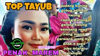 Download lagu TAYUB TOP GAYENG PENAK TUR MAREM tombo jampi sayah  mp3