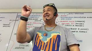 CÉLULA PROCARIOTA - ESTRUCTURA BACTERIANA - CLASE EN VIVO CON EL PROFESOR MÁS DIDÁCTICO DE AMÉRICA -