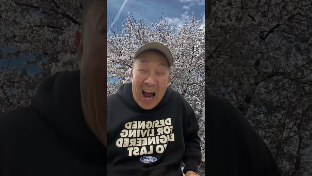 ライブ ハイライト