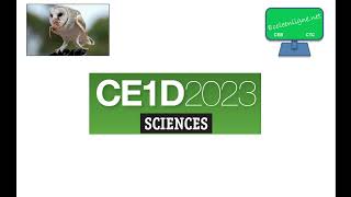 CE1D 2023 Sciences - question 3 + corrigé