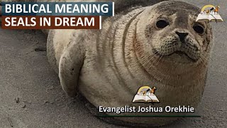 Biblical Meaning of SEAL in Dreams - Seals Symbolism and Interpretation