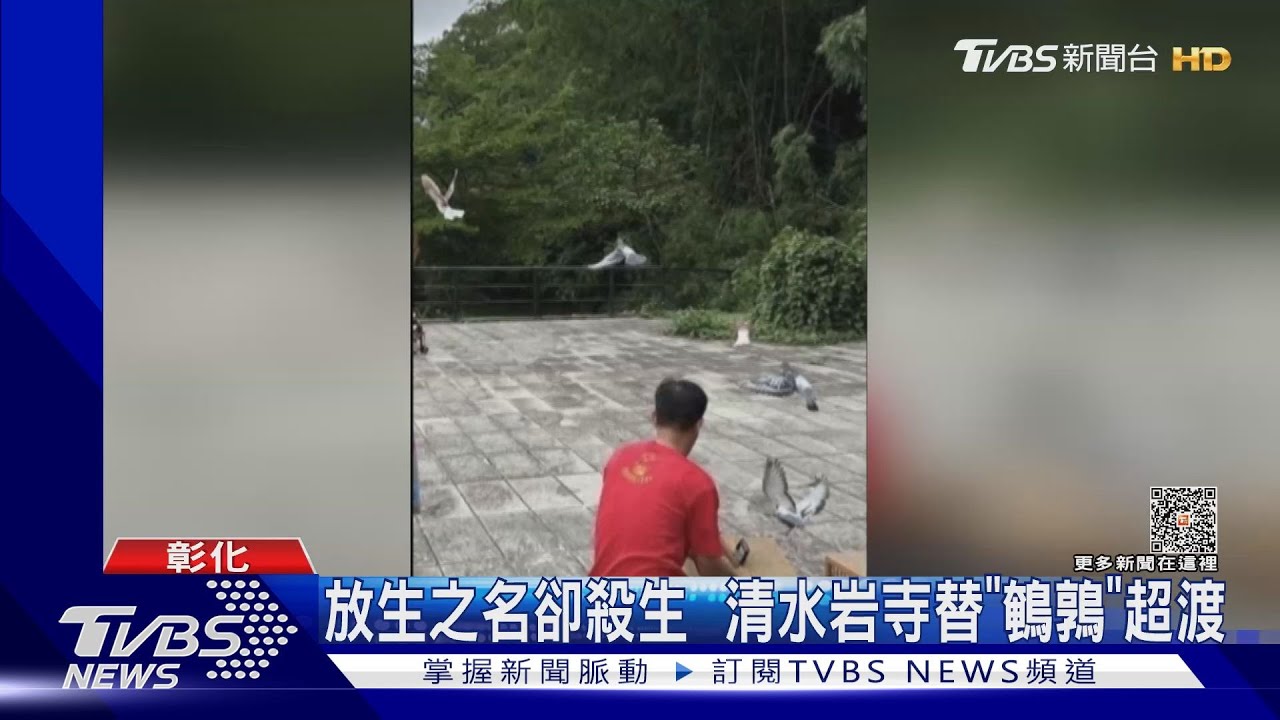 放生之名卻殺生　清水岩寺替「鵪鶉」超渡