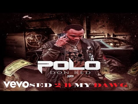 Polo Don Red - Used 2 B My Dawg