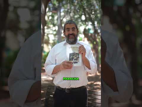 120 histoires. 5 ans de travail 🤍 Pirké Avot - Rav Eliahou Hassan
