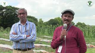 Arka Shama — A New Watermelon Variety (Kannada)