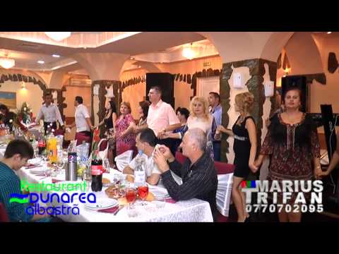 01 Majorat Andrei - Damian Conac 2014 Live Dunarea Albastra