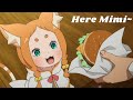 Here Kitty You Can Has Cheezburger Mimi Version From Re Zero