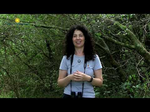 Uruguay por dentro 19 de Abril del 2026, Sendero del Rio Yaguaron.