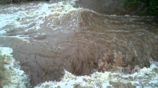 preview picture of video 'Hochwasser des Lockwitzbachs in Dresden-Niedersedlitz am 03.06.2013'