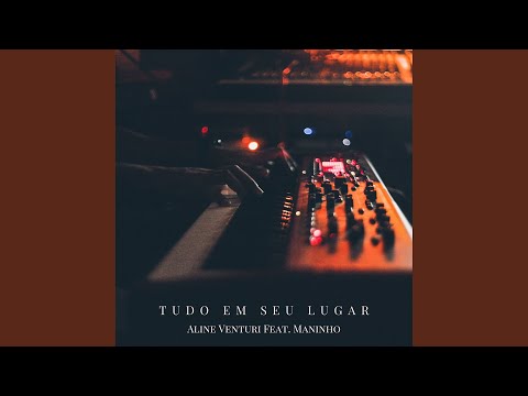 Tudo Em Seu Lugar - Aline Venturi