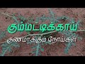 கும்மட்டிக்காய் குணமாக்கும் நோய்கள் citrullus colocynthis dr.s.revathi s vlog