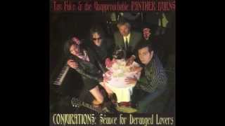 tav falco's panther burns - administrator blues (2010)