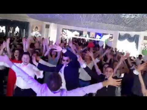 Animazione per Matrimoni San Salvo, Pescara, Campobasso, Foggia - Plaza Vasto - Francesco Barattucci