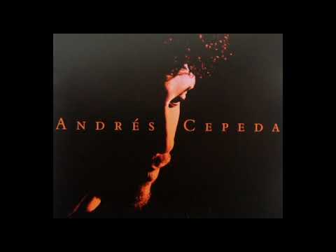 Ciertas Cosas (Cover Audio) - Andrés Cepeda