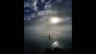 overcome - within temptation (with lyrics!)