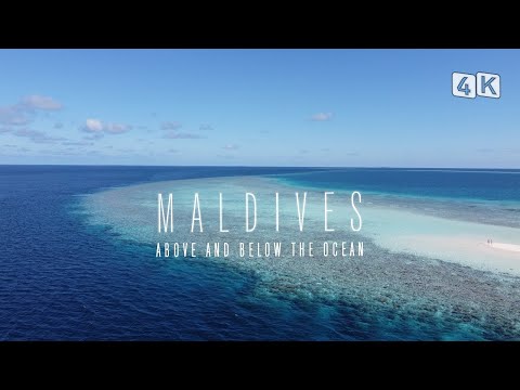MALDIVES 4K | ABOVE AND BELOW THE OCEAN | SCUBA CRUISE 2022
