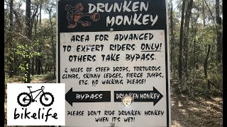 Drunken Monkey