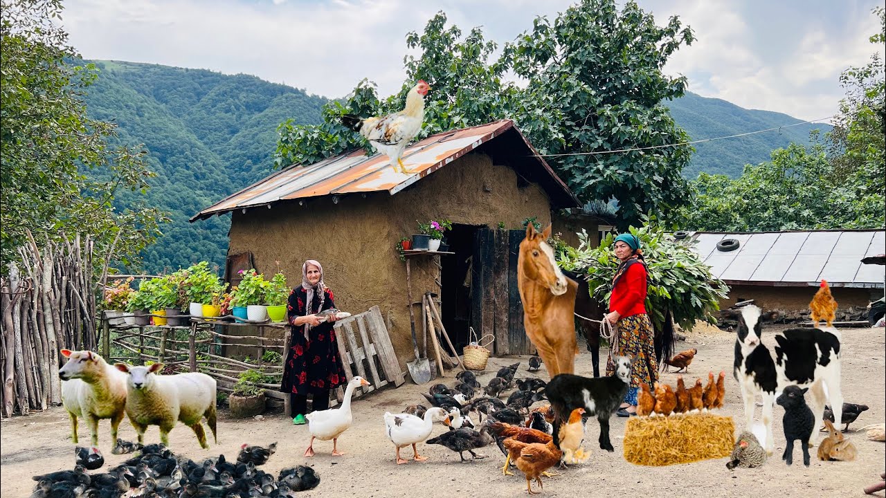 Taking the Horse to the River for Bath and Catching fish to Cook For Dinner