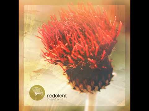 Kasango, Leo Guardo, Leo Gira - Save a Prayer ft. Jordan Grace (DJ CHUS Rework) || Afro House Source