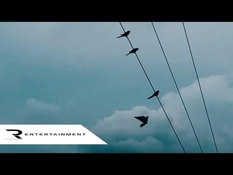 Sergio Zener - The End is The Beginning