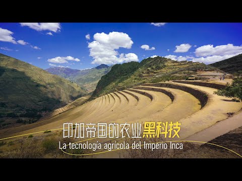 The Inca Empire's agricultural science and technology