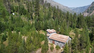 Yellow Pine Properties UB