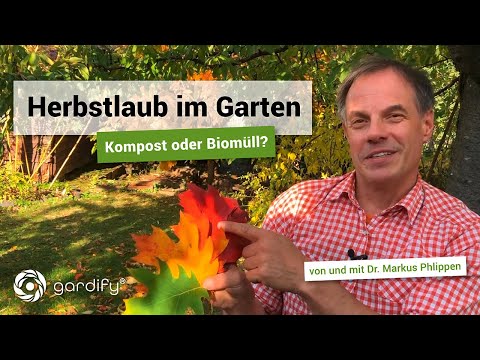 "Good" leaves - "bad" leaves | gardify tips