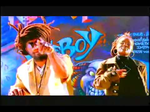 Caribbean Pulse  Mr Man