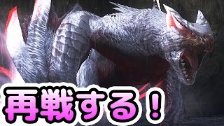 【MHF-Z実況】『極み駆けるナルガクルガ』にリベンジする男【再戦】【モンハンフロンティアZ】