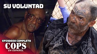 Thumbnail del capítulo